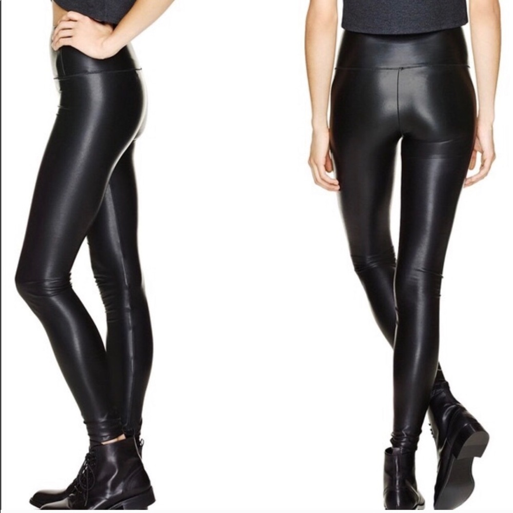 Aritzia Wilfred free leather pant